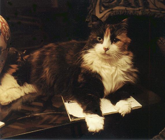 Kallie in all her glory