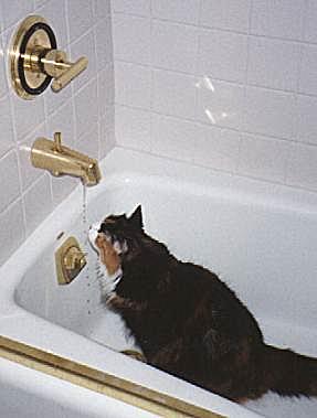 Kallie in shower...