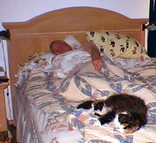 Bed
